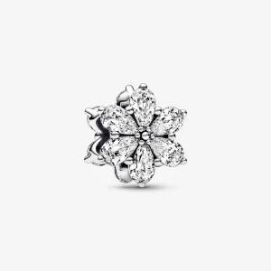 (obrázek pro) Pandora Lesklý Herbariální Klučičí Amulet - 792623C01
