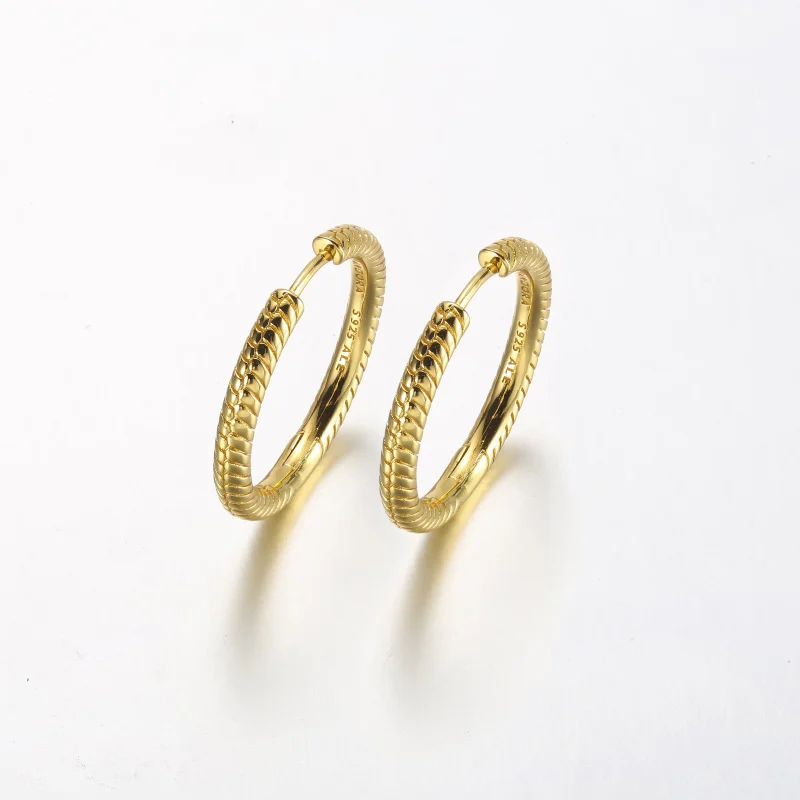 (obrázek pro) Pandora Moments Charm Kroužkové Náušnice - 269532C00 - Zobrazit 2