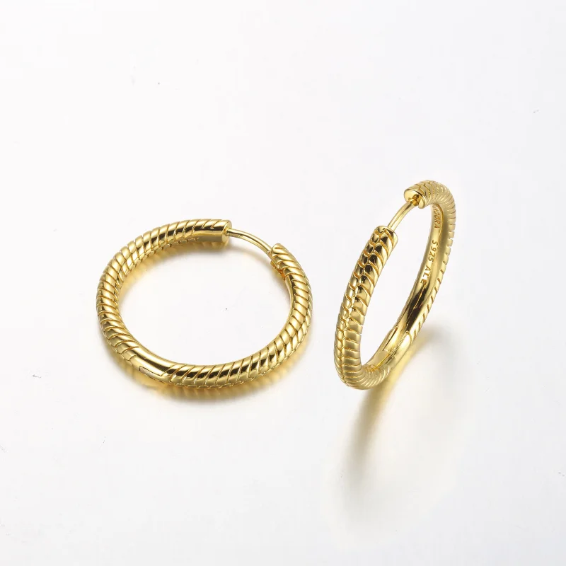 (obrázek pro) Pandora Moments Charm Kroužkové Náušnice - 269532C00 - Zobrazit 3