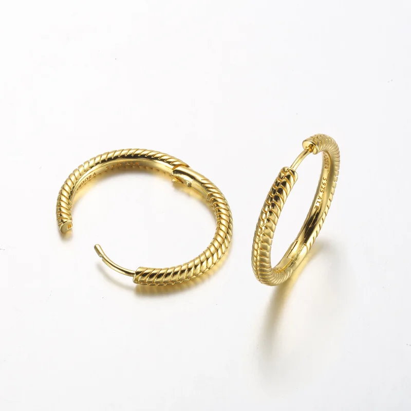 (obrázek pro) Pandora Moments Charm Kroužkové Náušnice - 269532C00 - Zobrazit 5