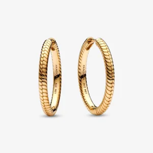 (obrázek pro) Pandora Moments Charm Kroužkové Náušnice - 269532C00