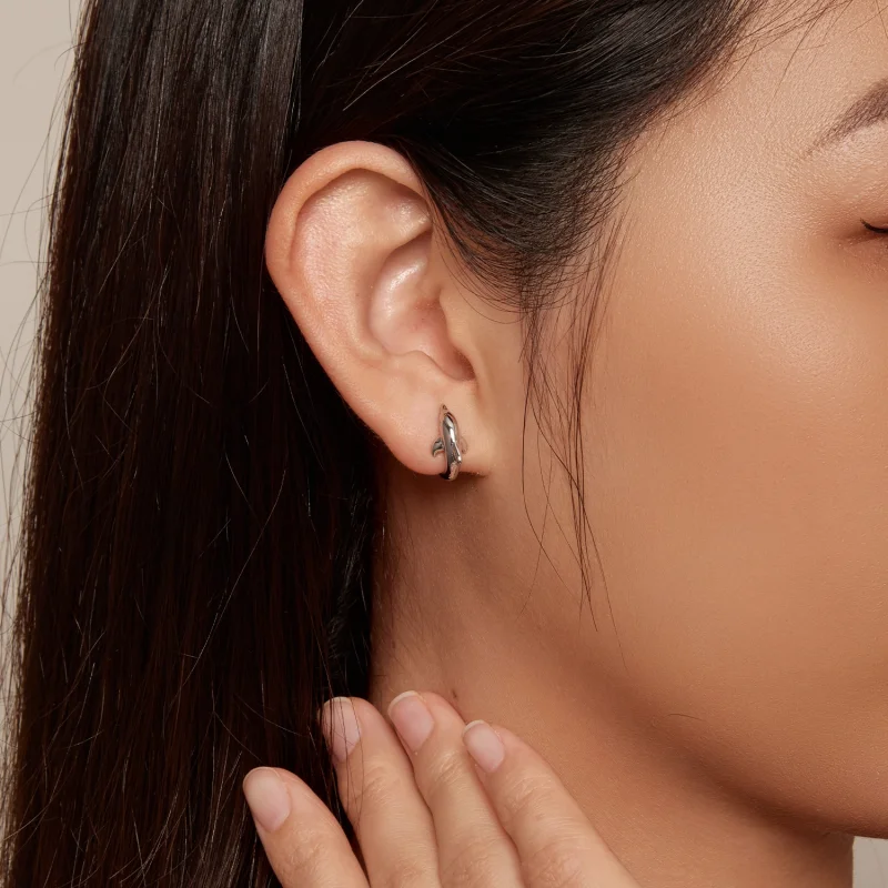 (obrázek pro) Pandora styl Delfínové náušnice s kruhy - BSE881 - Zobrazit 5