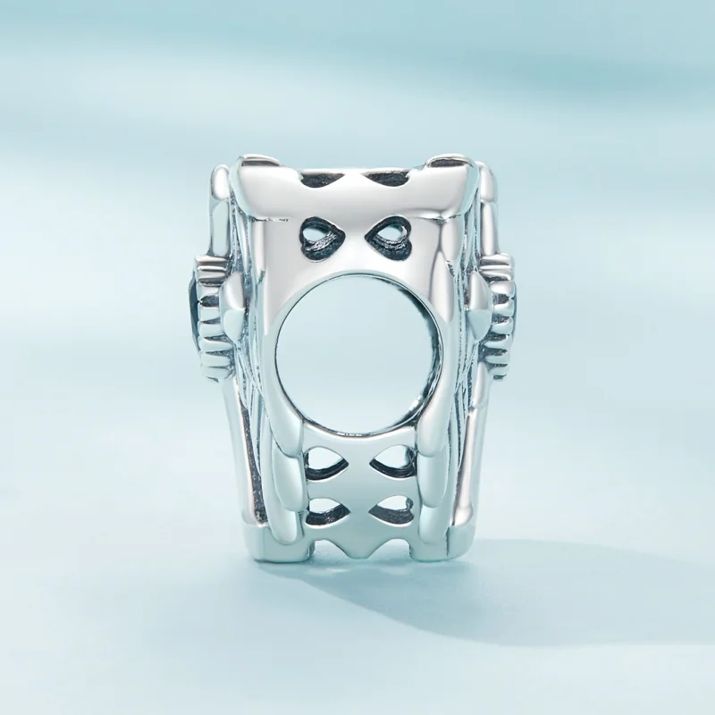 (obrázek pro) Pandora styl Věřím chrání talisman - SCC2496 - Zobrazit 3