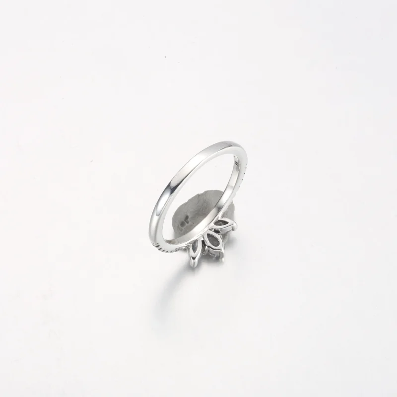 (obrázek pro) Pandora Sparkling Herbarium Cluster Ring - 192392C01 - Zobrazit 5