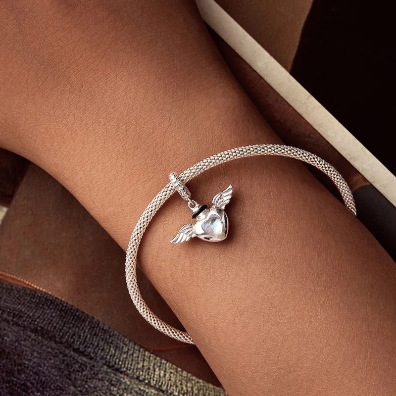(obrázek pro) Přívěsek pamětní krabice na urnu PANDORA Style Pet - BSC1036 - Zobrazit 6
