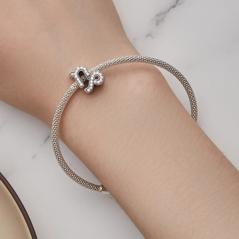 (obrázek pro) Pandora styl Kozoroh šťastný zvěrokruhový amulet - SCC2516-10 - Zobrazit 6
