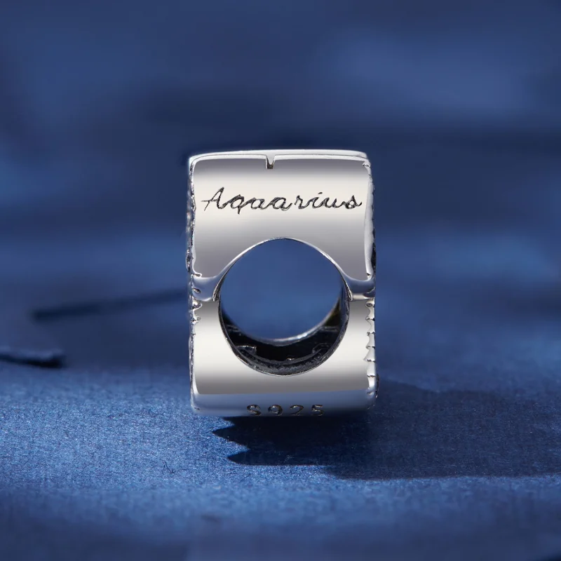 (obrázek pro) Pandora styl Vodnář Šťastný Zvěrokruhový Talisman - SCC2516-12 - Zobrazit 3