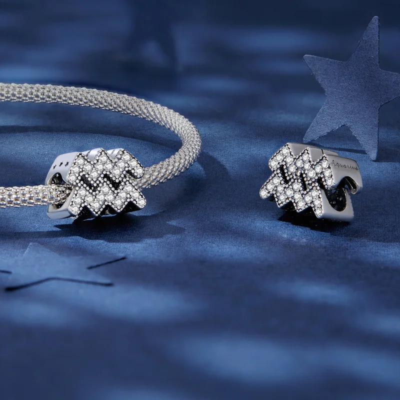 (obrázek pro) Pandora styl Vodnář Šťastný Zvěrokruhový Talisman - SCC2516-12 - Zobrazit 4