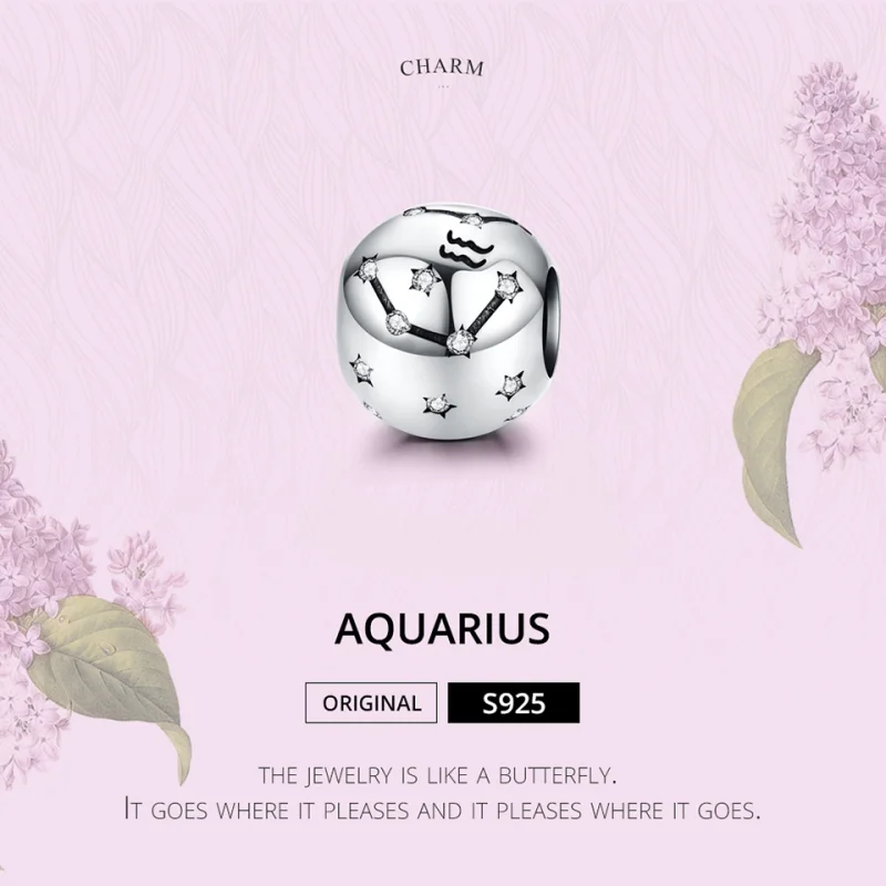 (obrázek pro) Pandora styl stříbrný amulet Vodnář - SCC1218-11 - Zobrazit 4