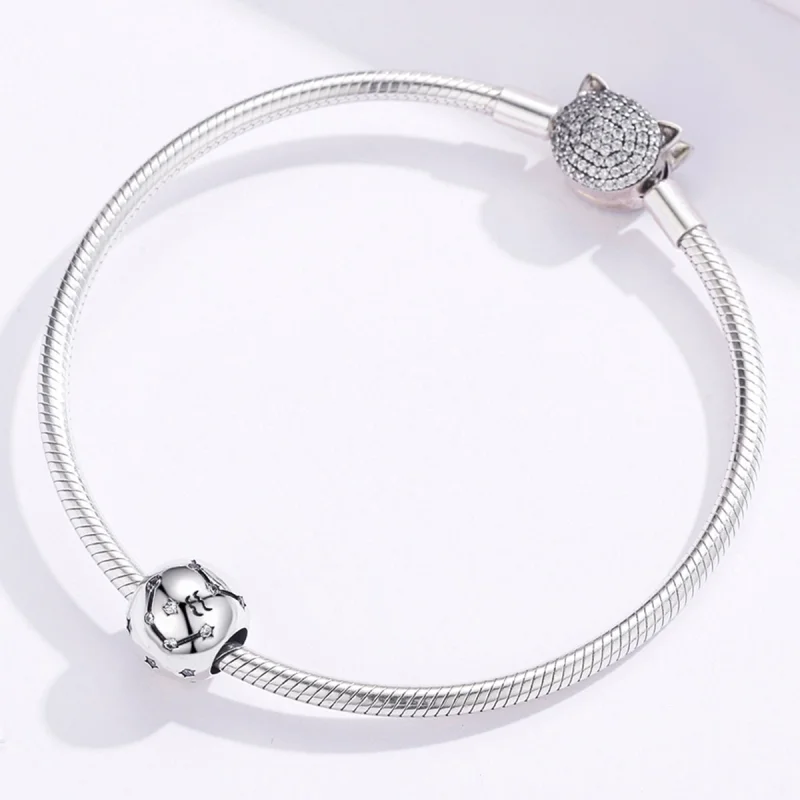 (obrázek pro) Pandora styl stříbrný amulet Vodnář - SCC1218-11 - Zobrazit 5