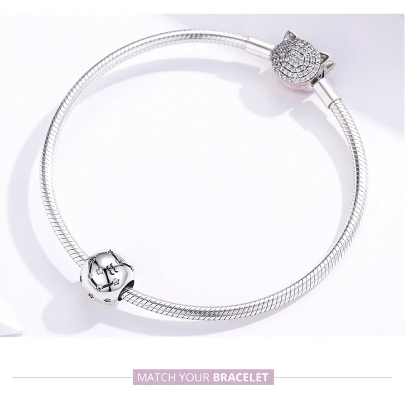(obrázek pro) Pandora styl stříbrný amulet Vodnář - SCC1218-11 - Zobrazit 8