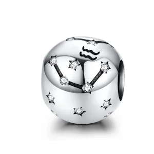 (obrázek pro) Pandora styl stříbrný amulet Vodnář - SCC1218-11