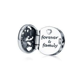 (obrázek pro) Pandora styl stříbrný přívěsek Forever & Family - SCC1259