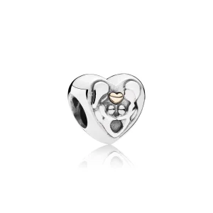 (obrázek pro) Srdce rodiny, sterlingové stříbro, 14k zlato - 791771 - Přívěsky | PANDORA